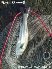 �����Х�