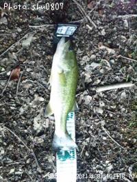 �֥�å��Х�