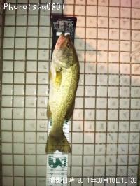 ¥Ö¥é¥Ã¥¯¥Ð¥¹