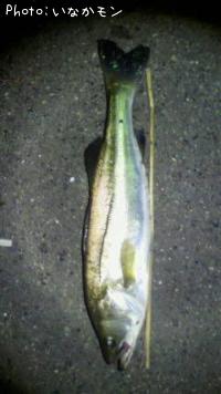 �����Х�