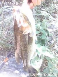 �֥�å��Х�