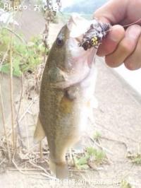 �֥�å��Х�