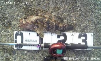 �����Υ���Х�