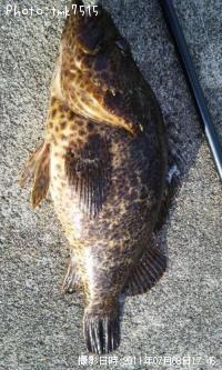 ¥¿¥±¥Î¥³¥á¥Ð¥ë