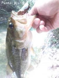 ¥Ö¥é¥Ã¥¯¥Ð¥¹