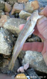 ¤¨¡Á¤Ã¡ª¡©¤½¤¥¡Á¡ª¡©