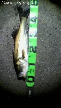 �����Х�