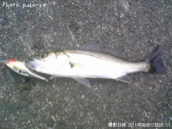 �����Х�