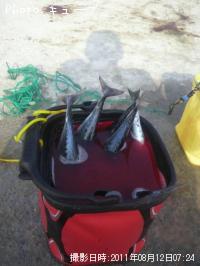 ���������Ĥ�