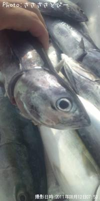 ���������ĥ�