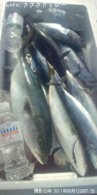 ���������ĥ�