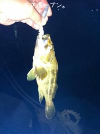 ���ޥ���