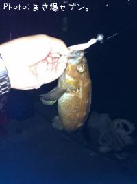 ������Х�