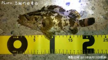 �����Υ���Х�