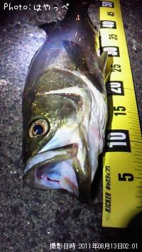 �����Х�