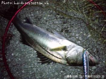 �����Х�