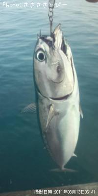 ���������ĥ�