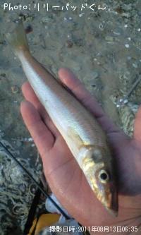 Ǽ���������Υѡ���ԥ󥯤ν�����