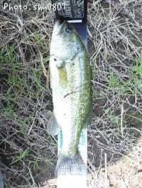 �֥�å��Х�