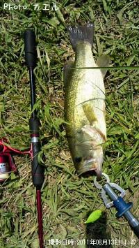 �֥�å��Х�