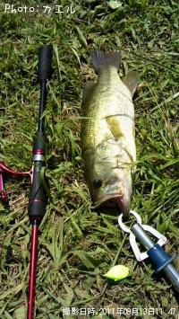 �֥�å��Х�