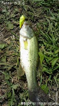 �֥�å��Х�