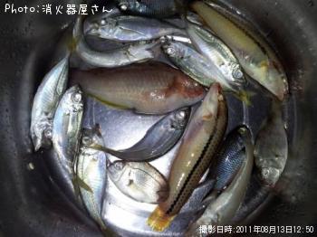 �������٥顦���åѡ����ޥ��������λ�