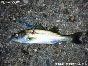 �����Х�