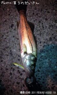 �����Х�