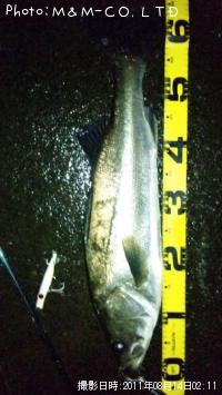 �����Х�