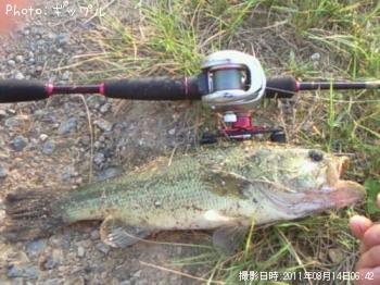 �֥�å��Х�