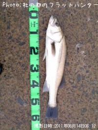 �����Х�