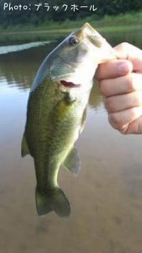 ¥Ö¥é¥Ã¥¯¥Ð¥¹