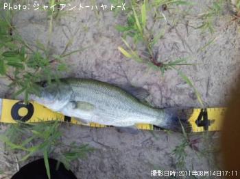 �֥�å��Х�