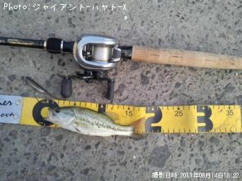 �֥�å��Х�