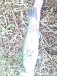 ¥Ö¥é¥Ã¥¯¥Ð¥¹