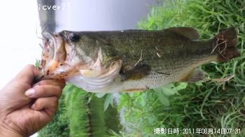 �֥�å��Х�