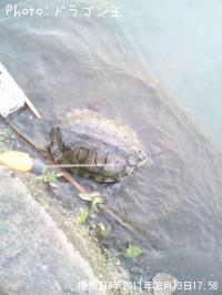 �ּ�����