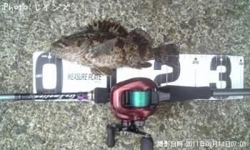 �����Υ���Х�