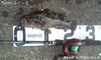 �����Υ���Х�