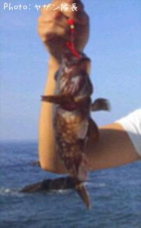 �����Υ���Х�