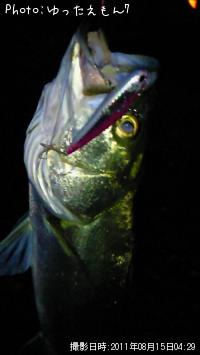 �����Х�