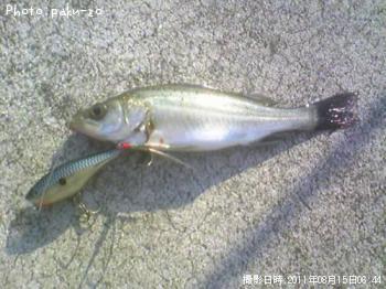 �����Х�