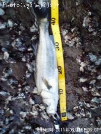 �����Х�