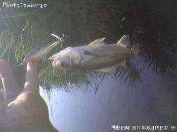 �����Х�