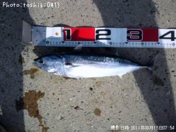 ���������ĥ�