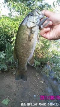 ���⡼��ޥ����Х�