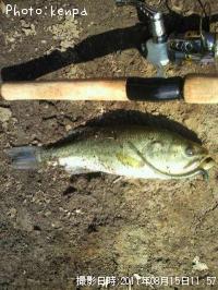 �֥�å��Х�