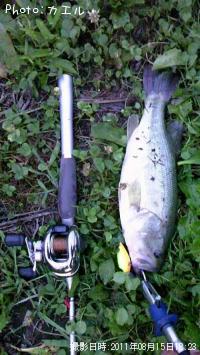 �֥�å��Х�