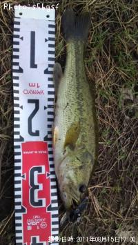 ¥Ö¥é¥Ã¥¯¥Ð¥¹